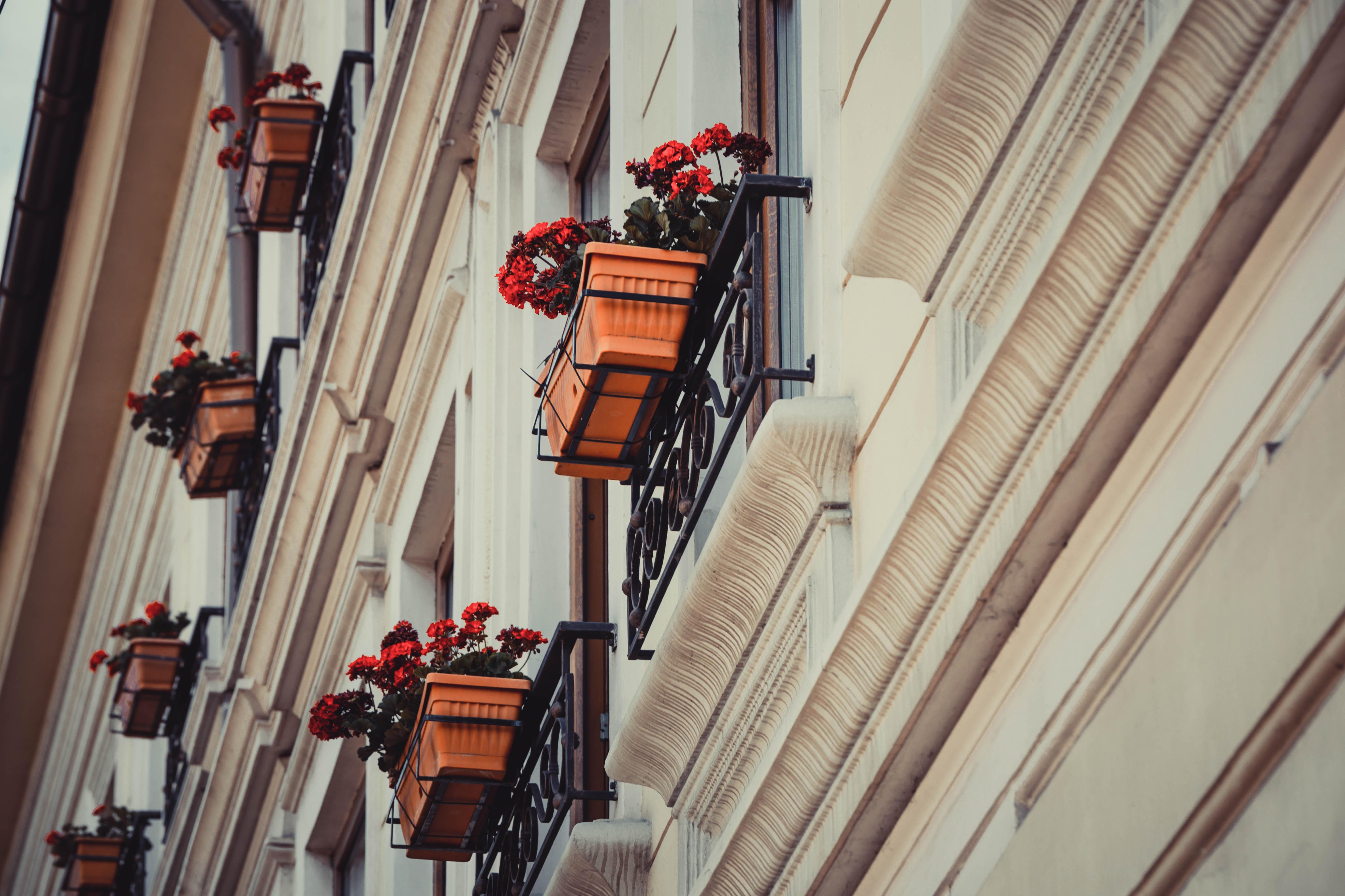 Hotel Cherica Konstanca Zewnętrze zdjęcie